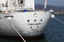 �����ہ@TOKO MARU�@����